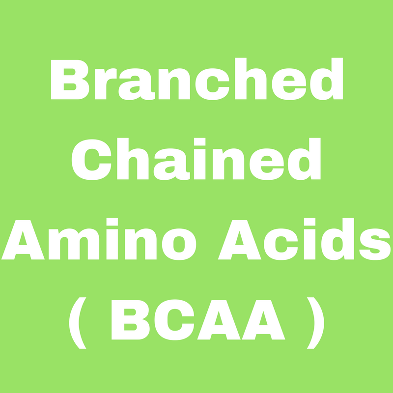 Branched Chained Amino Acid (BCAA)