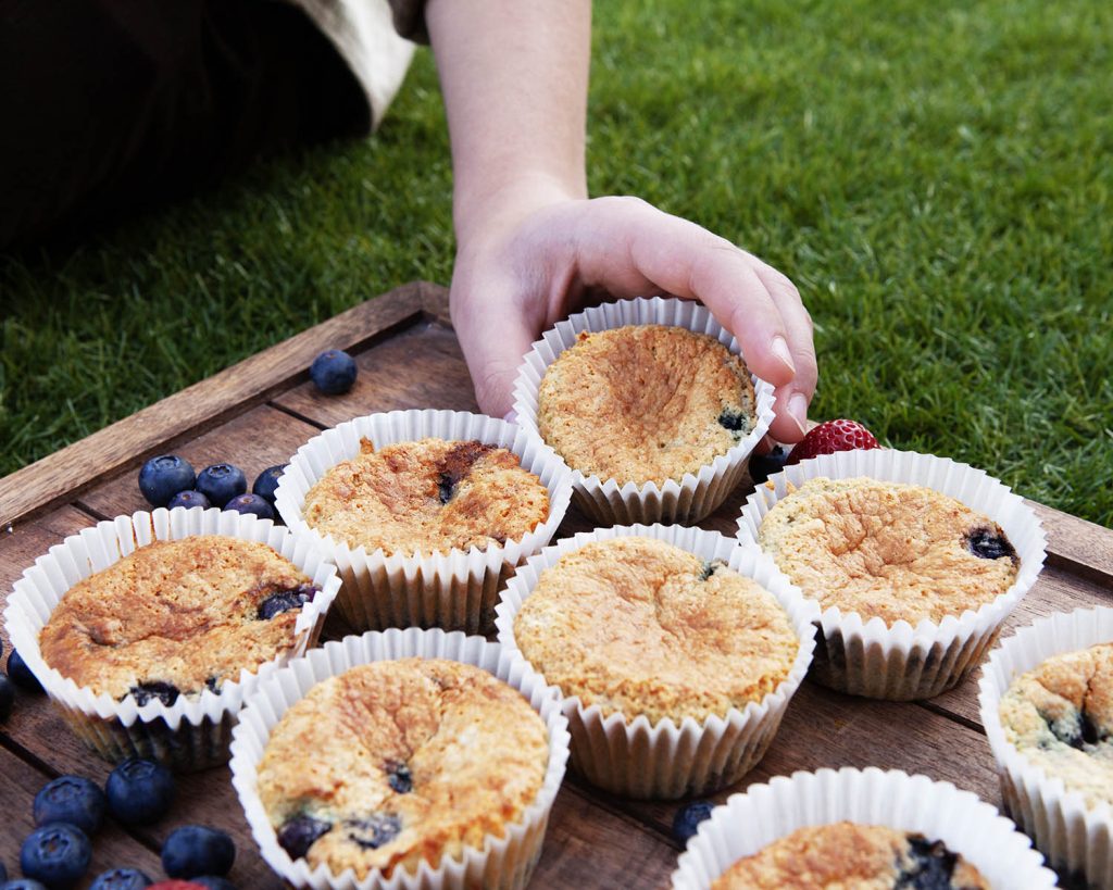 Lemon Blueberry Protein Muffins For Picnic